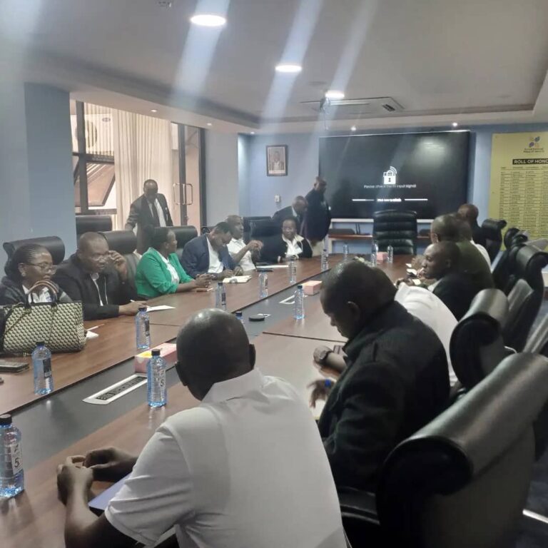 WhatsApp Image 2024-08-14 at 09.04.07